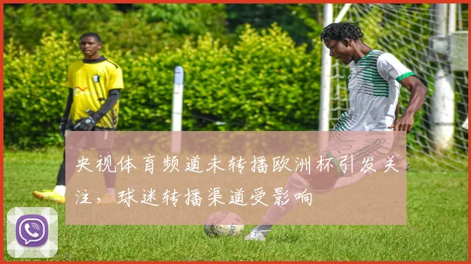 央视体育频道未转播欧洲杯引发关注,球迷转播渠道受影响