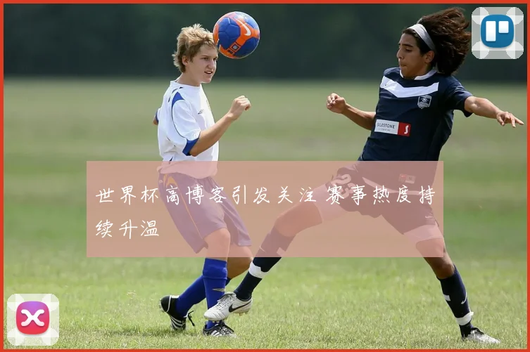 世界杯高博客引发关注 赛事热度持续升温